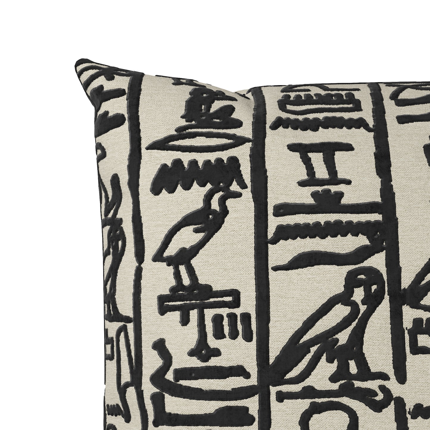 Ramesses Throw Pillow Cover