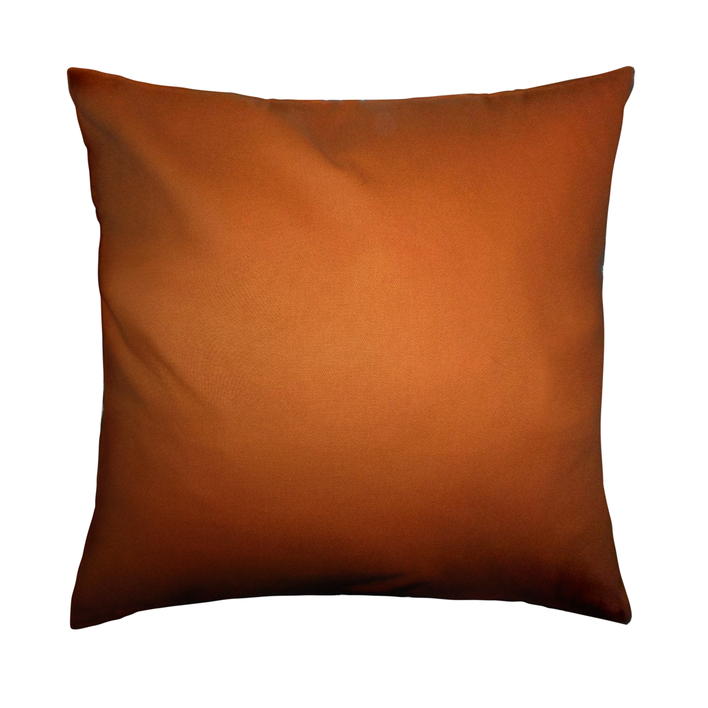 Simmons Throw Pillow Cover