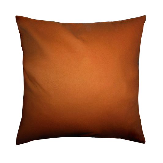 Simmons Throw Pillow Cover