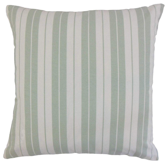Ray Throw Pillow Cover